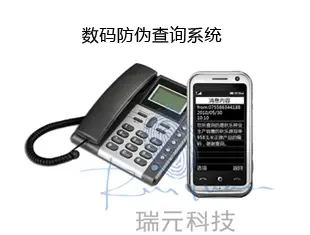Rui Yuan digital security check system