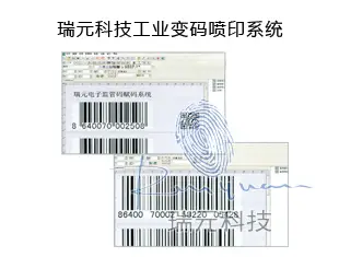 Rui Yuan Science and Technology Industrial change code printing system
